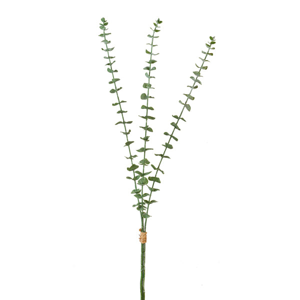 EUCALYPTUS BUNDLE