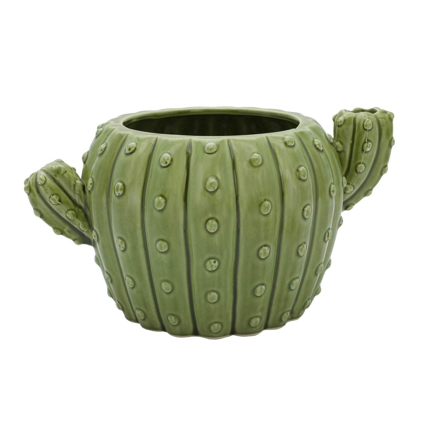 CACTUS PLANTER