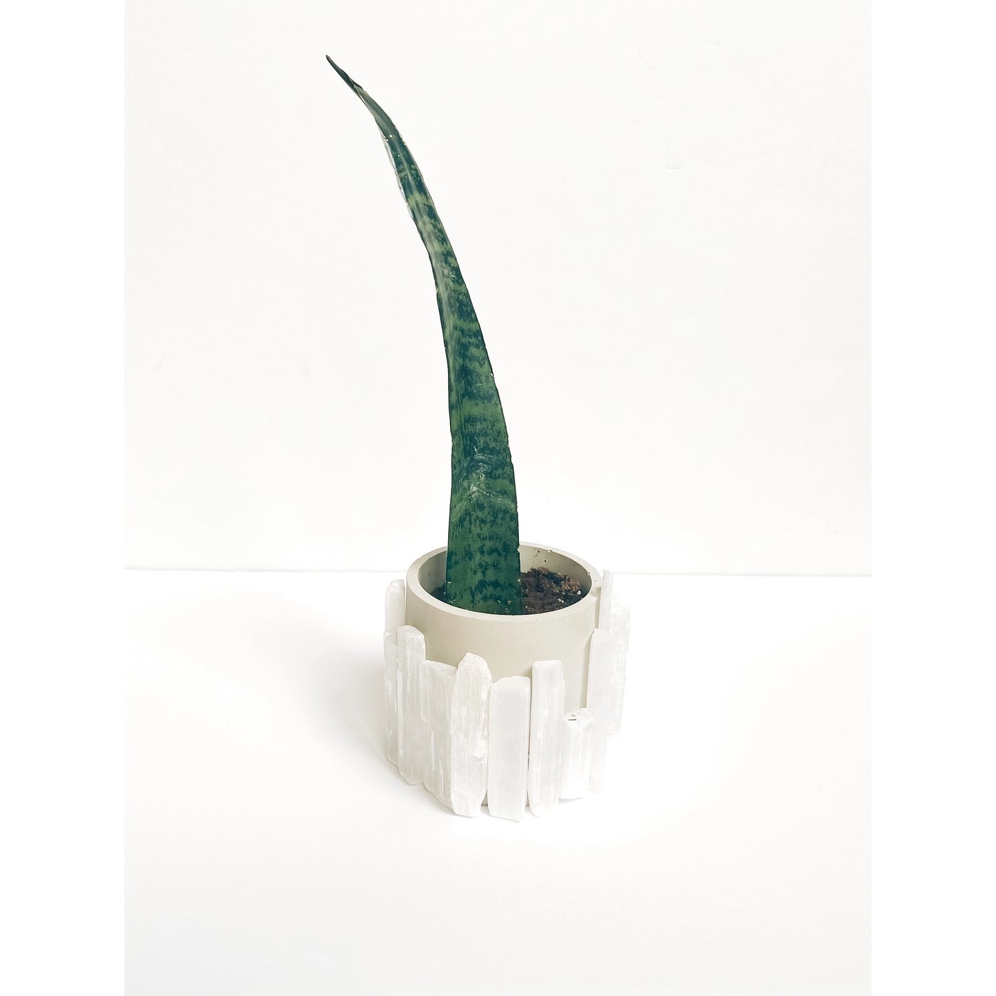 SELENITE CEMENT PLANTER