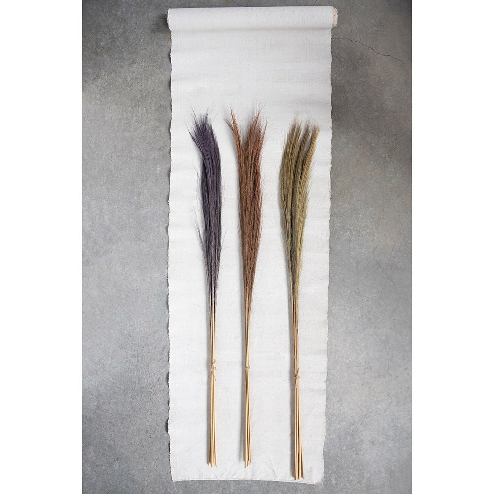 DRIED CORTADERIA