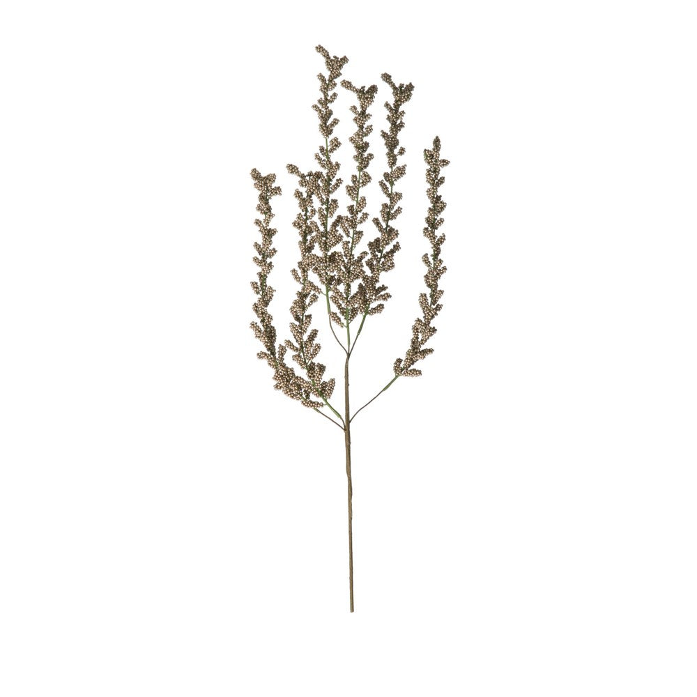 CHAMPAGNE BERRY PICK