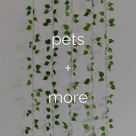 PETS + MORE