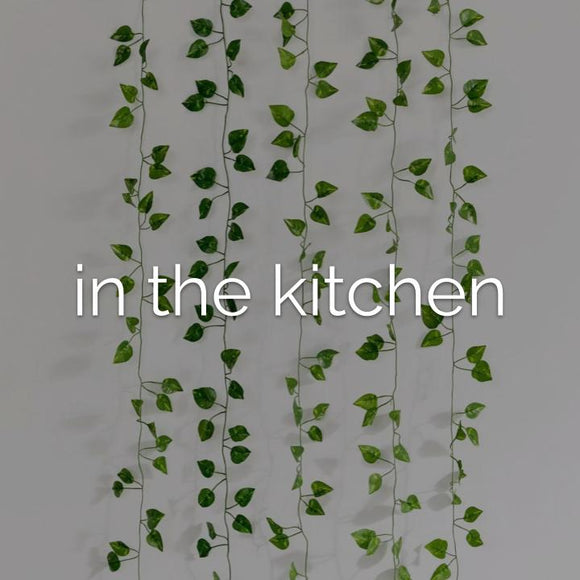 IN THE KITCHEN