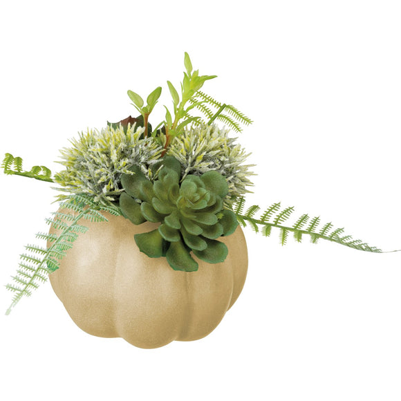PUMPKIN PLANTER MEDIUM CREAM
